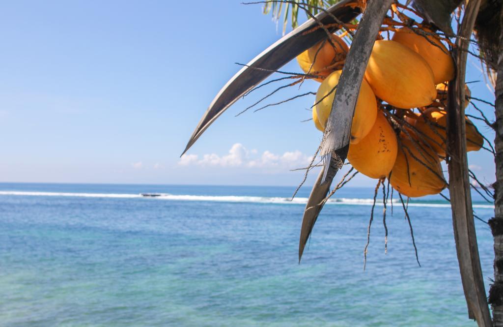 Resort Sea Breeze
